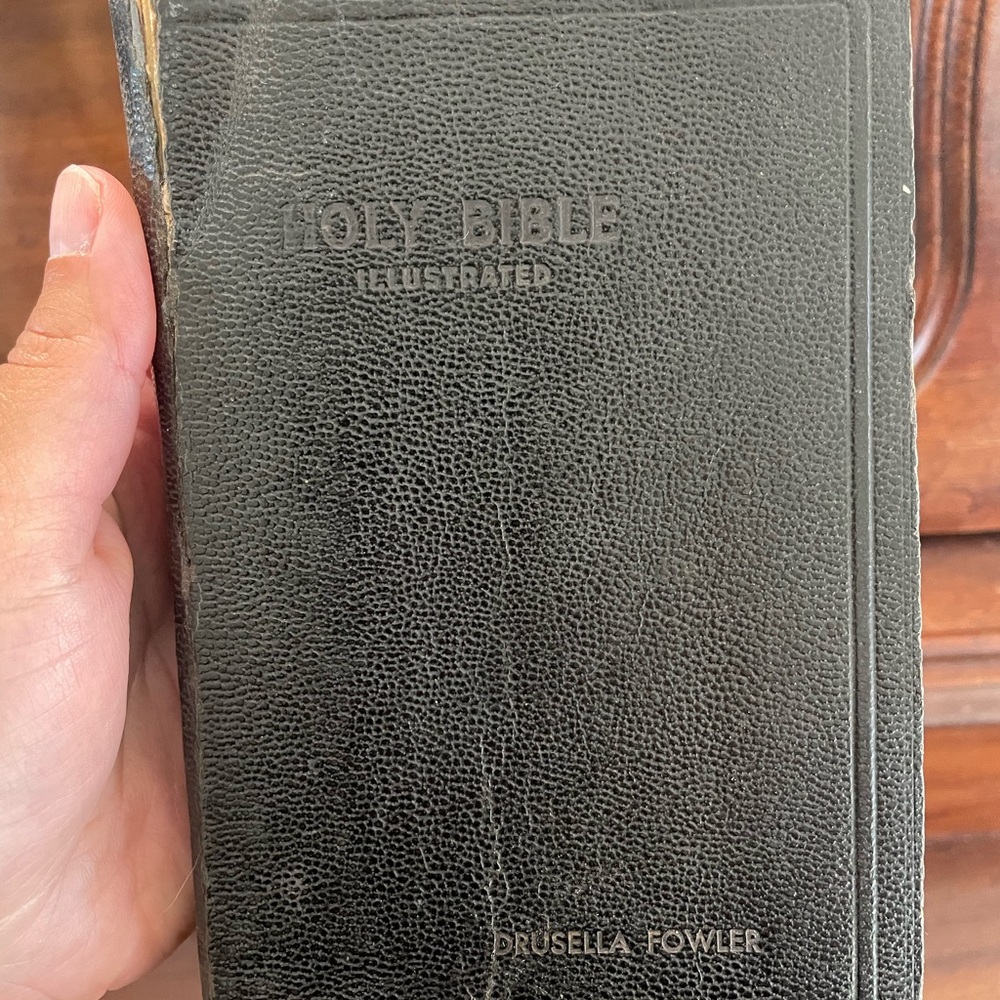 Vintage Illustrated Holy Bible